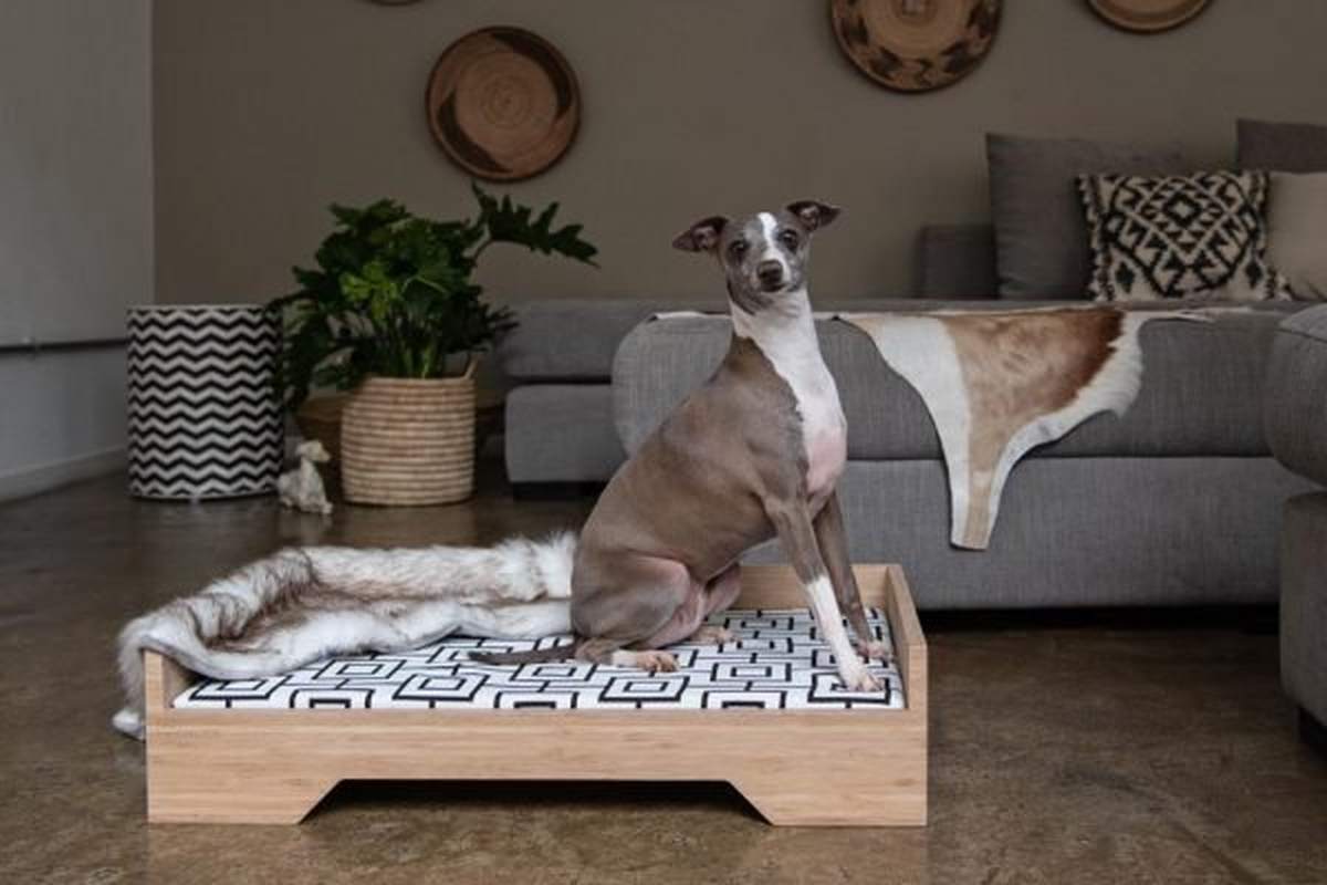 Billy pet bed