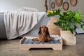 Billy pet bed
