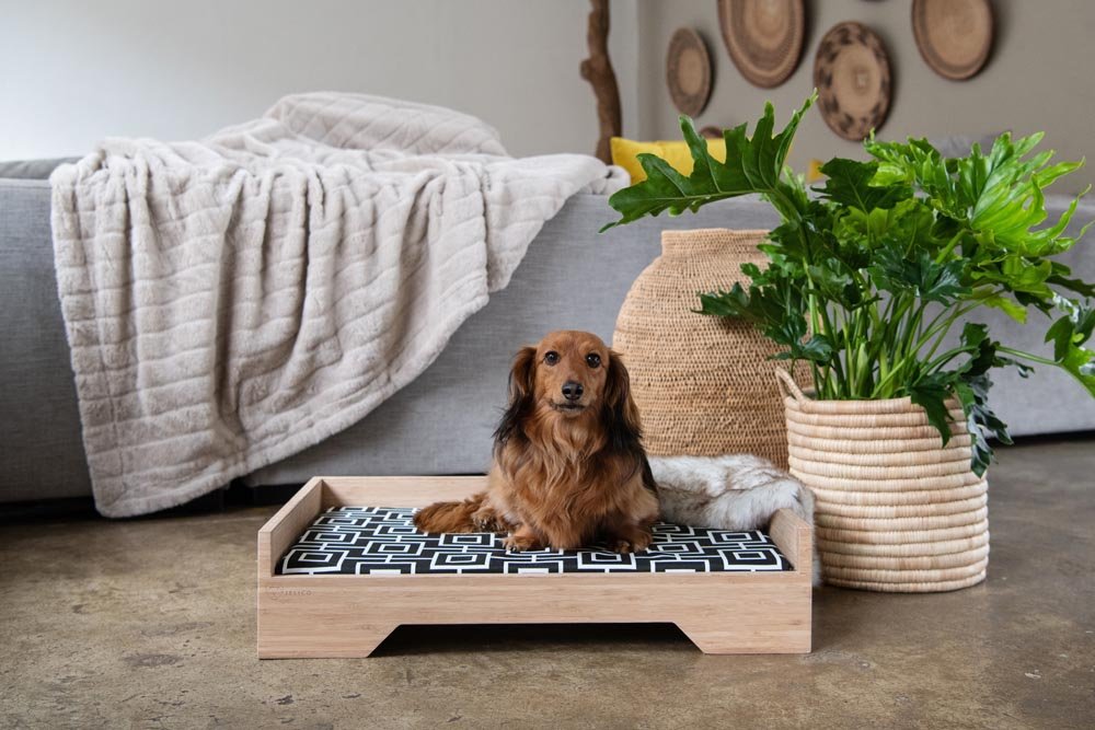 Billy pet bed