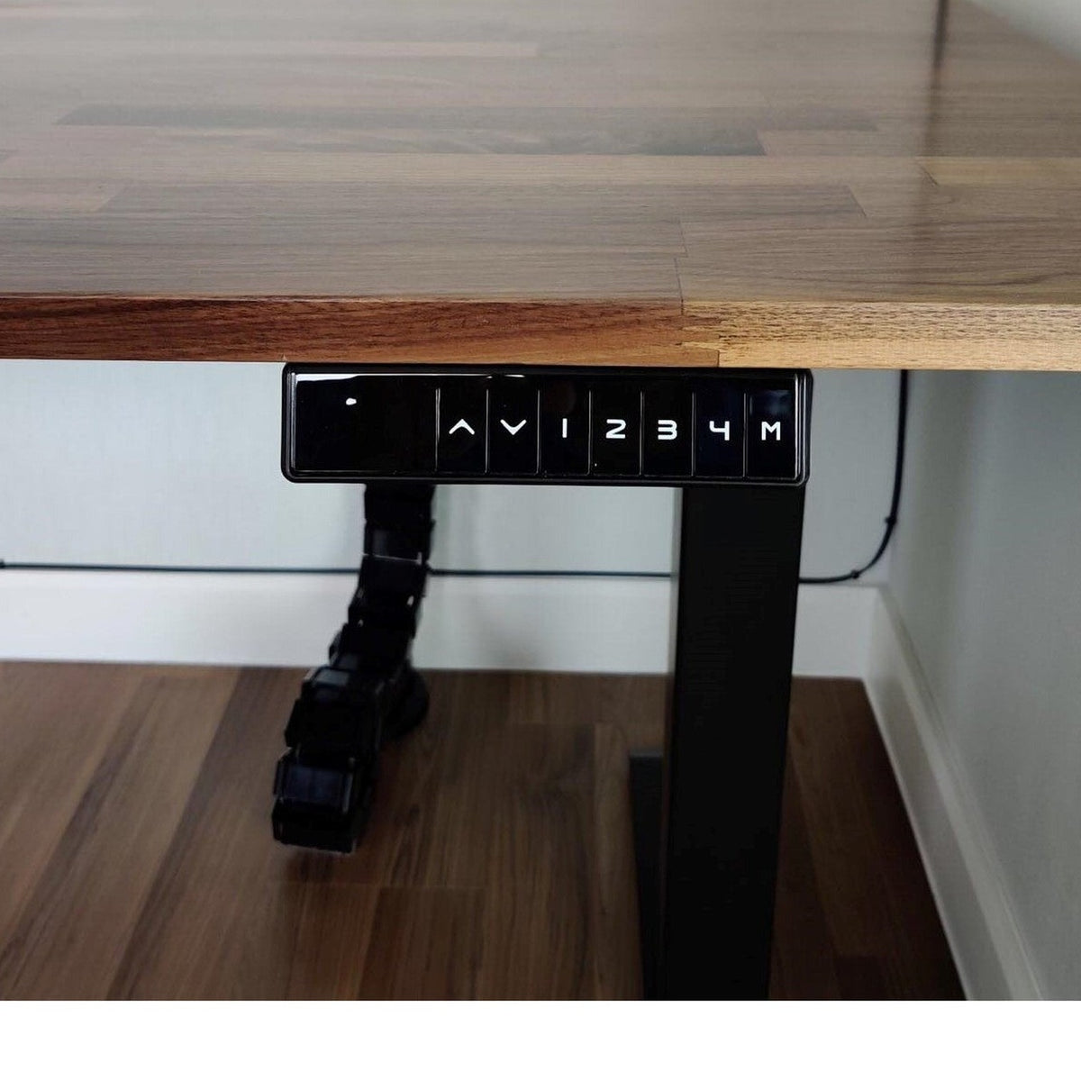 Titan Standing Desk in American Walnut